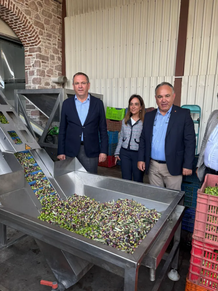 “ZEYTİNYAĞI İHRACATINDA EN BÜYÜK SORUN MARKASIZLIK”