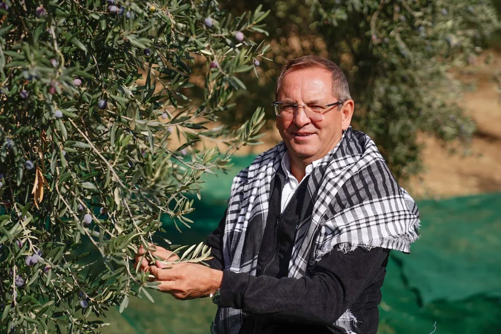 20. Ayvalık Uluslararası Zeytin Hasat ve Turizm Festivali Başlıyor…