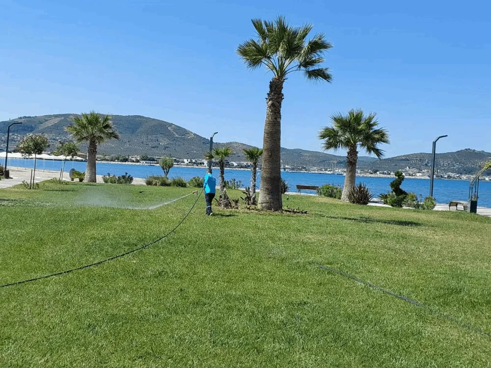 Büyükşehir Ekipleri Haşereye Geçit Vermiyor