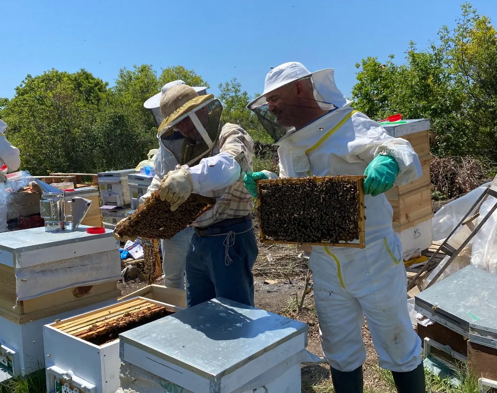 BAÜN’den Doğaya Dost Yenilikçi Bal Üretimi